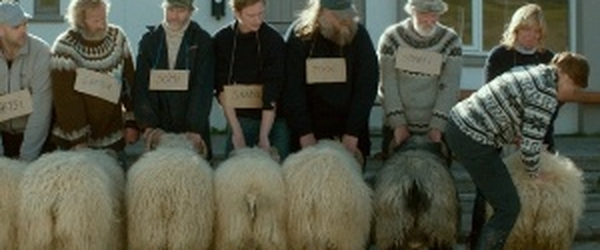 Filme da Islândia é o vencedor da mostra "Um Certo Olhar" em Cannes - Notícias - UOL Cinema