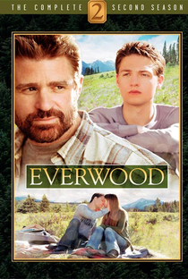 Everwood: Uma Segunda Chance (2ª Temporada) - Poster / Capa / Cartaz - Oficial 1