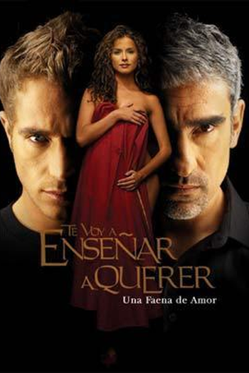 Poster de TV Te voy a enseñar a querer (2004)