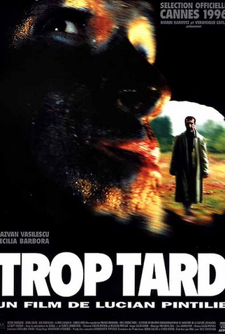 Poster 1 de Filme Tarde Demais (1996)