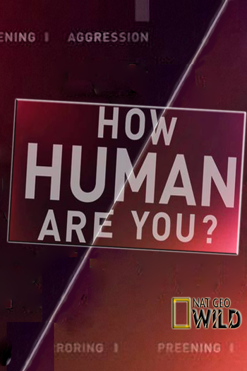 Poster de Franquia How Human Are You? (2014)