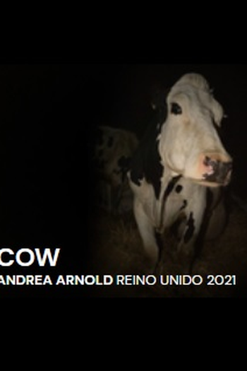  de Filme Cow (2022)