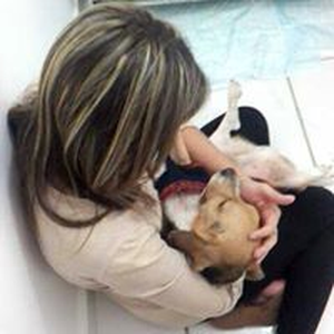 Foto de perfil de Renata