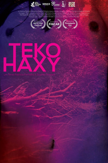 Poster de Curta TEKO HAXY - ser imperfeita (2018)