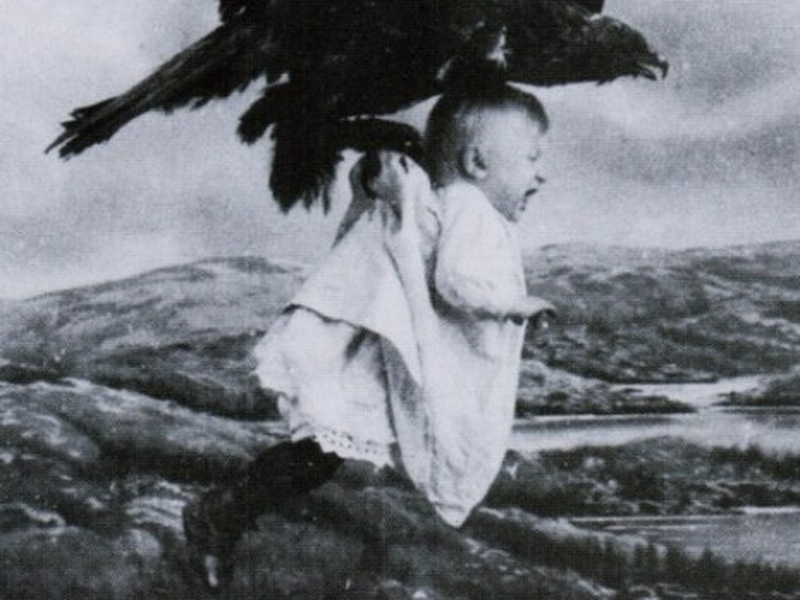 Foto 1 de Rescued from an Eagle's Nest