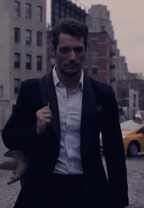 David Gandy’s Goodnight (David Gandy’s Goodnight)