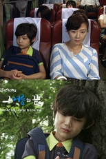 Drama Special Season 5: The End of That Summer (드라마 스페셜 2014: 그 여름의 끝)