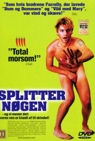 Poster 1 de Filme Naked (2000)