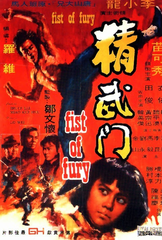 Poster 7 de Filme A Nova Fúria do Dragão (1976)