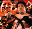BJW: Shuji Ishikawa Death Match Title Reign