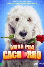 Amor Pra Cachorro (In The Dog House)