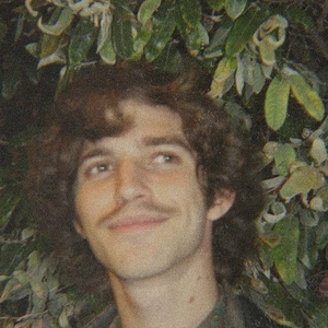 Foto de perfil de Guilherme Capuani