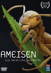 Formigas: O Poder Secreto da Natureza (Ameisen - Die heimliche Weltmacht )