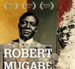 Robert Mugabe... What Happened?