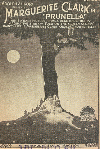 Poster 1 de Filme Prunella (1918)