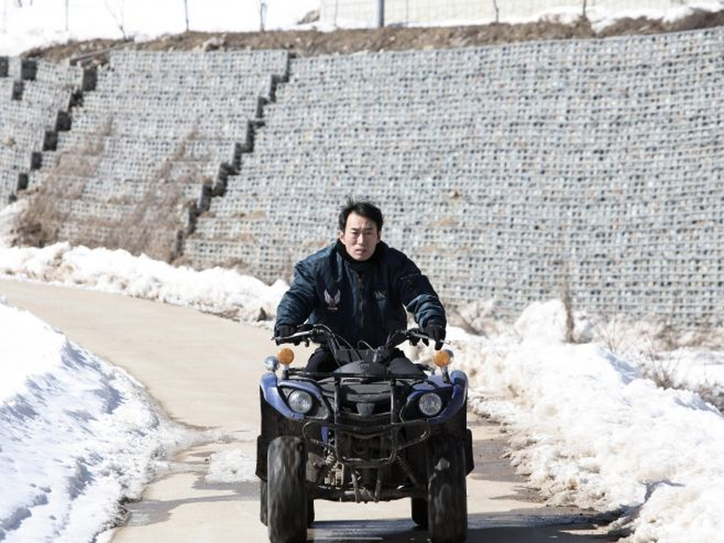 Foto 1 de Stray Dogs