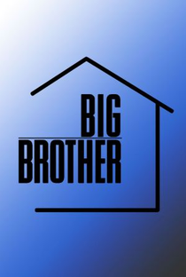 Big Brother US (17ª Temporada) - Poster / Capa / Cartaz - Oficial 1