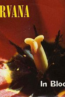 Nirvana: In Bloom - Poster / Capa / Cartaz - Oficial 1