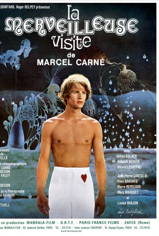 Poster 1 de Filme La merveilleuse visite (1974)