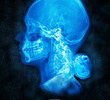Progeny