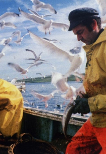 The Shetland Experience (The Shetland Experience)