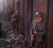 The Partisan