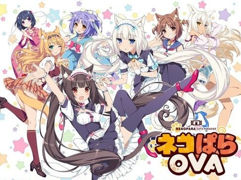 Foto 1 de Nekopara - OVA
