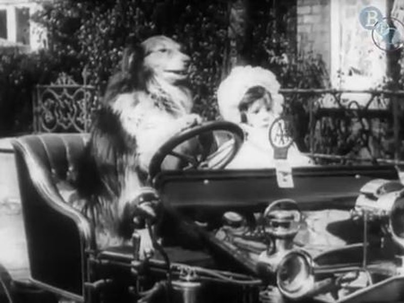 Foto 1 de The Dog Outwits the Kidnapper