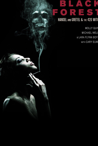 Poster 3 de Filme João, Maria e a Bruxa da Floresta Negra (2013)