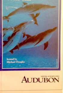 If Dolphins Could Talk - Poster / Capa / Cartaz - Oficial 2