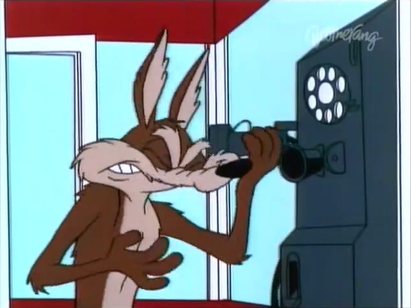 Foto 6 de Cansaço e Penas Soltas