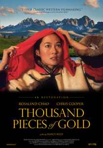 Desafiando o Destino (Thousand Pieces of Gold)