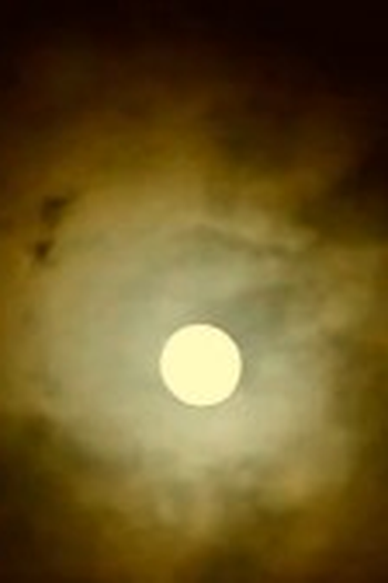 Poster de Curta Kruk (2013)