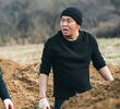 16회