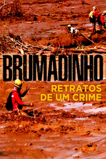 Brumadinho: Revelações de Um Crime (Brumadinho: Revelações de Um Crime)