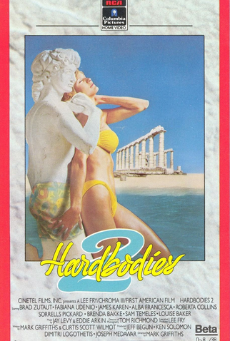 Poster 5 de Filme Aventuras no Paraíso (1986)