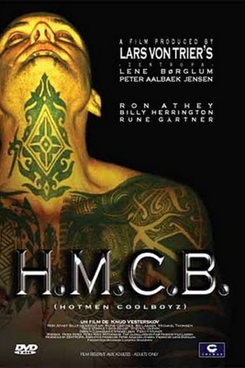 Poster de Filme HotMen CoolBoyz (None)