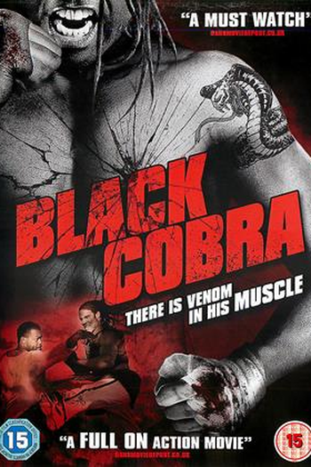  de Filme Diamante Negro (2012)