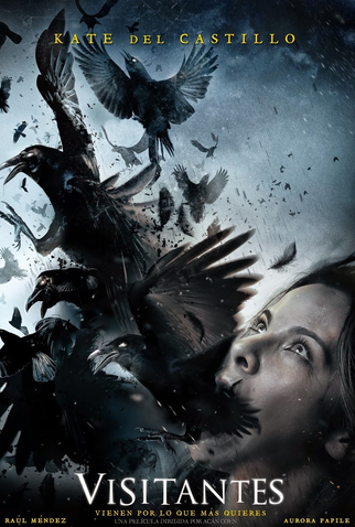 Poster 1 de Filme Visitantes  (2014)