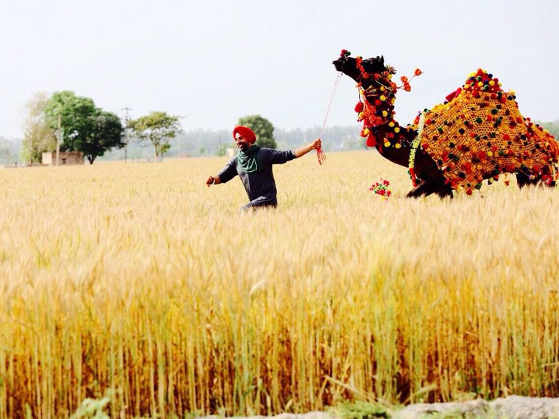 Foto 27 de Singh Is Bliing