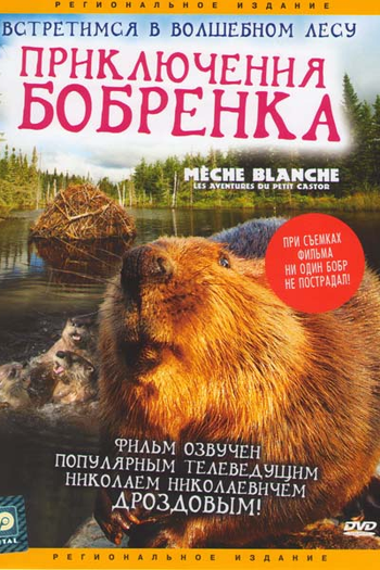  de Filme As Aventuras do Castorzinho (2008)