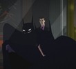 Batman Begins Forever