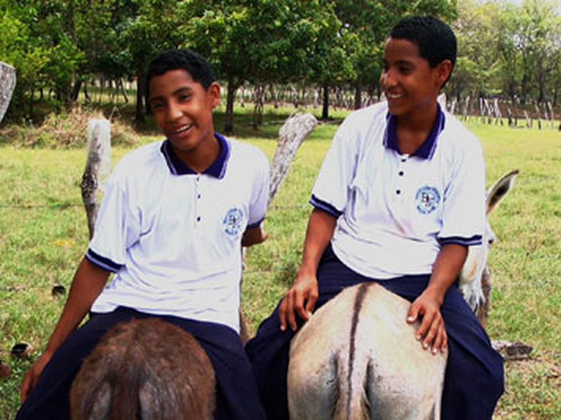 Foto 1 de Donkey Love