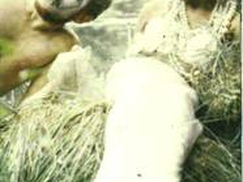 Foto 1 de Normal Love