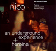 Nico: An Underground Experience