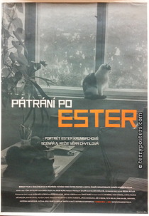 Em busca de Ester (Patrani po Ester	)