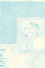 O Pequeno Mal (O Pequeno Mal)