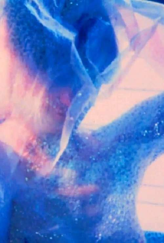 Poster 1 de Curta Turner (1987)