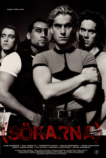 Sökarna - Poster / Capa / Cartaz - Oficial 3