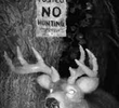 Posted No Hunting